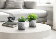 6" Tall, Artificial Plant, Succulent, Indoor, Faux, Fake, Table, Greenery, Potted, Decorative (Set of 2) - Green / Gray