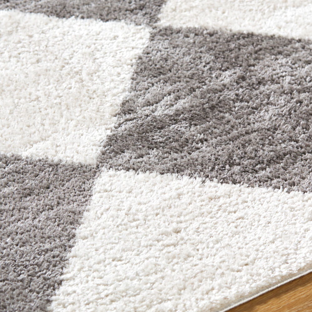 Fossay Shag Machine Woven Rug