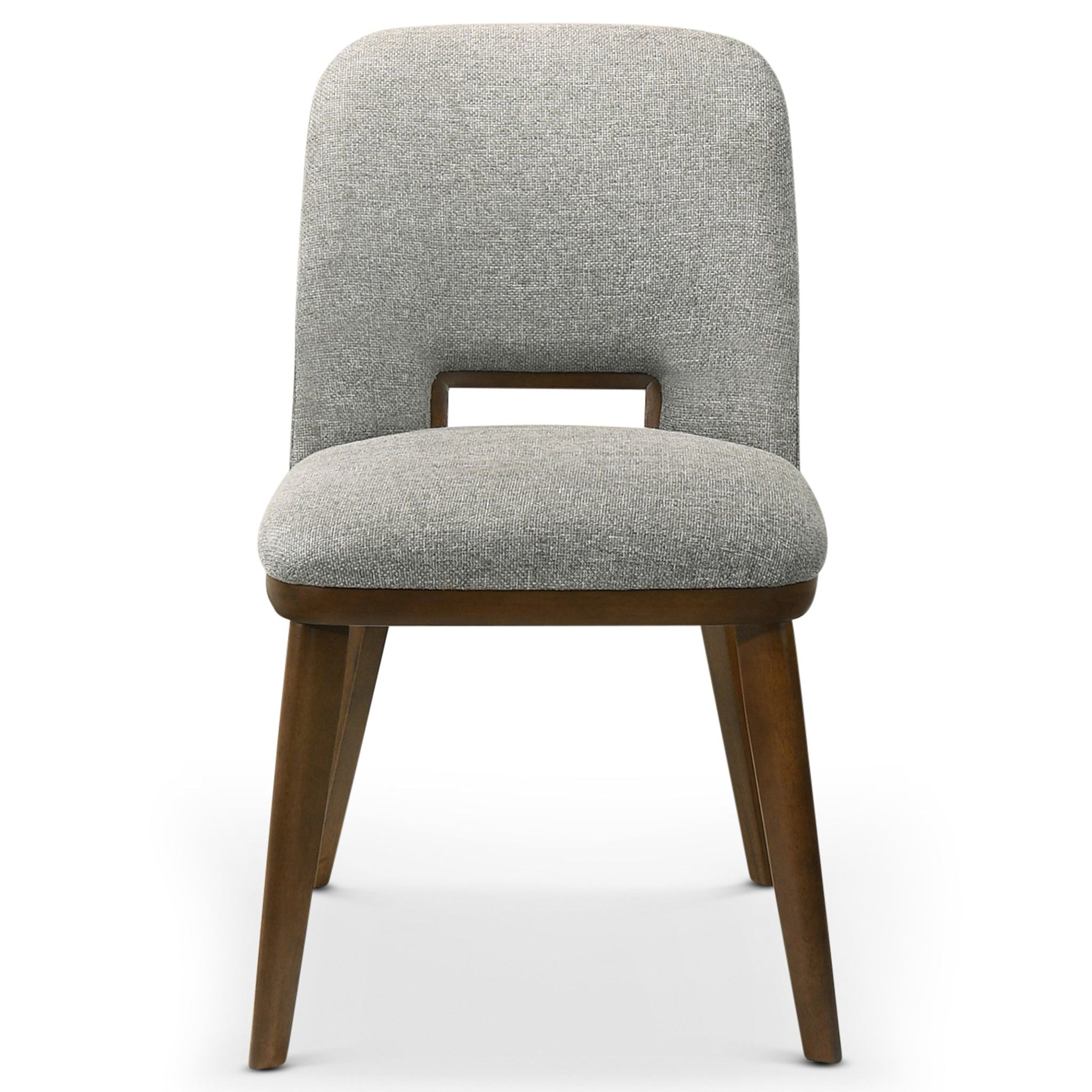 Blake - Modern Dining Chair (Set of 2)
