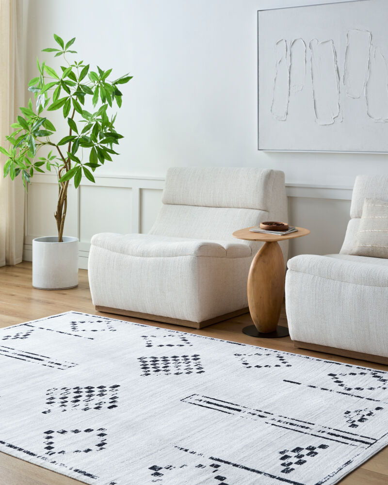 Lavable Machine Woven Rug