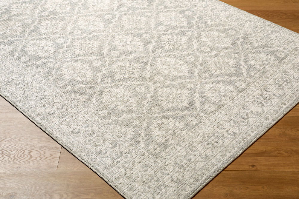 Aram Machine Woven Rug