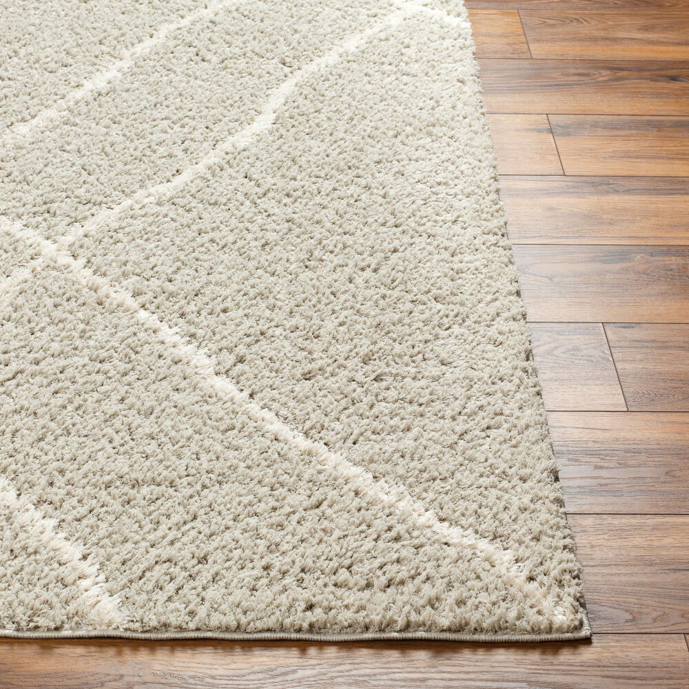 Maryland Shag Machine Woven Rug