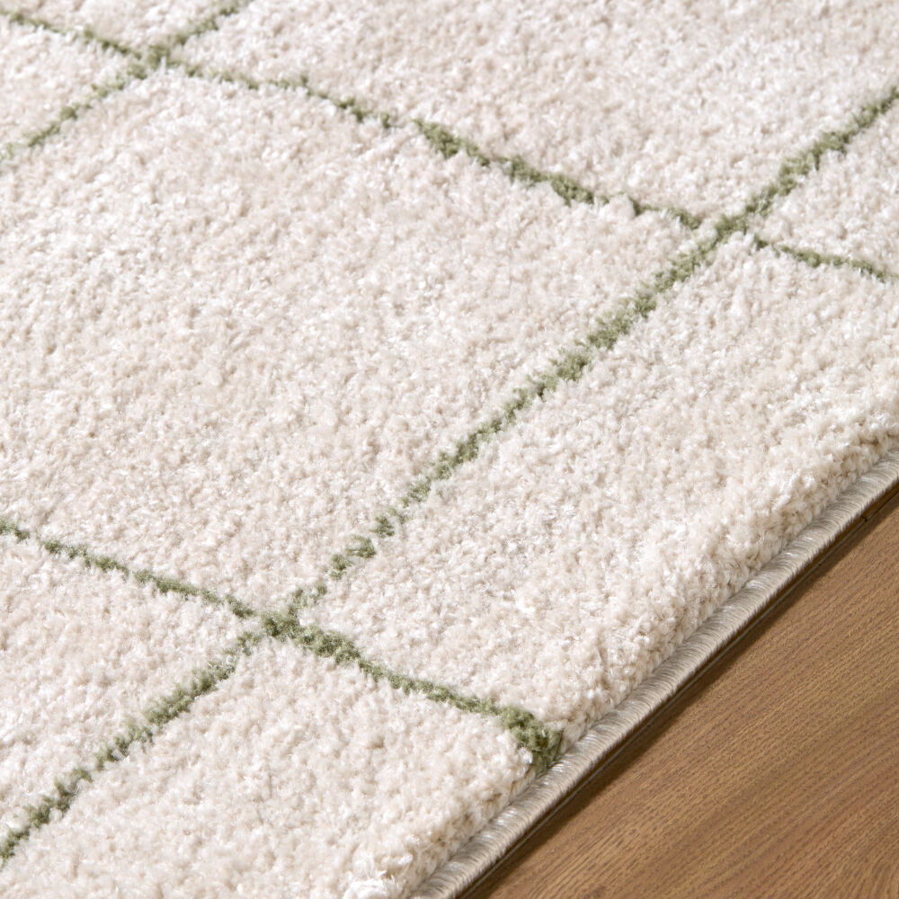 Rivoli Machine Woven Rug