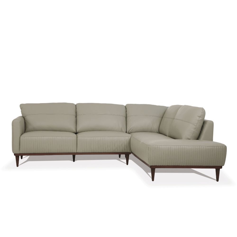 ACME Tampa - Sectional Sofa | Meri Furniture