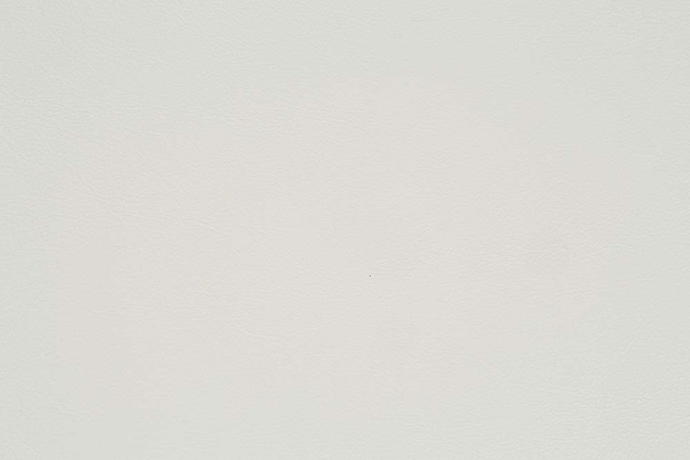 Adara - Arm Chair Set of 2) - Pearl White Synthetic Leather & Antique White