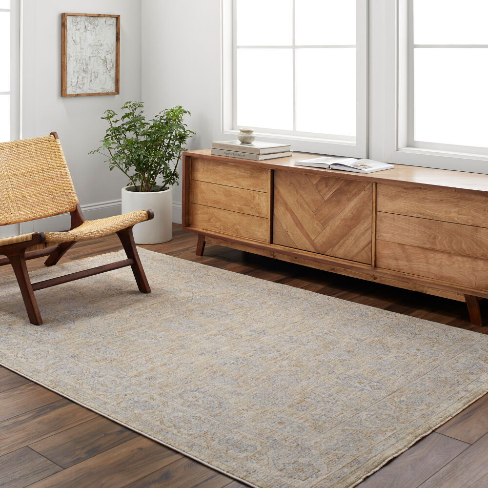 Avant Garde Machine Woven Rug