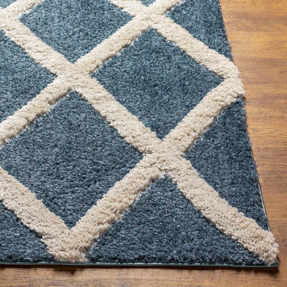 Hudson Shag Machine Woven Rug