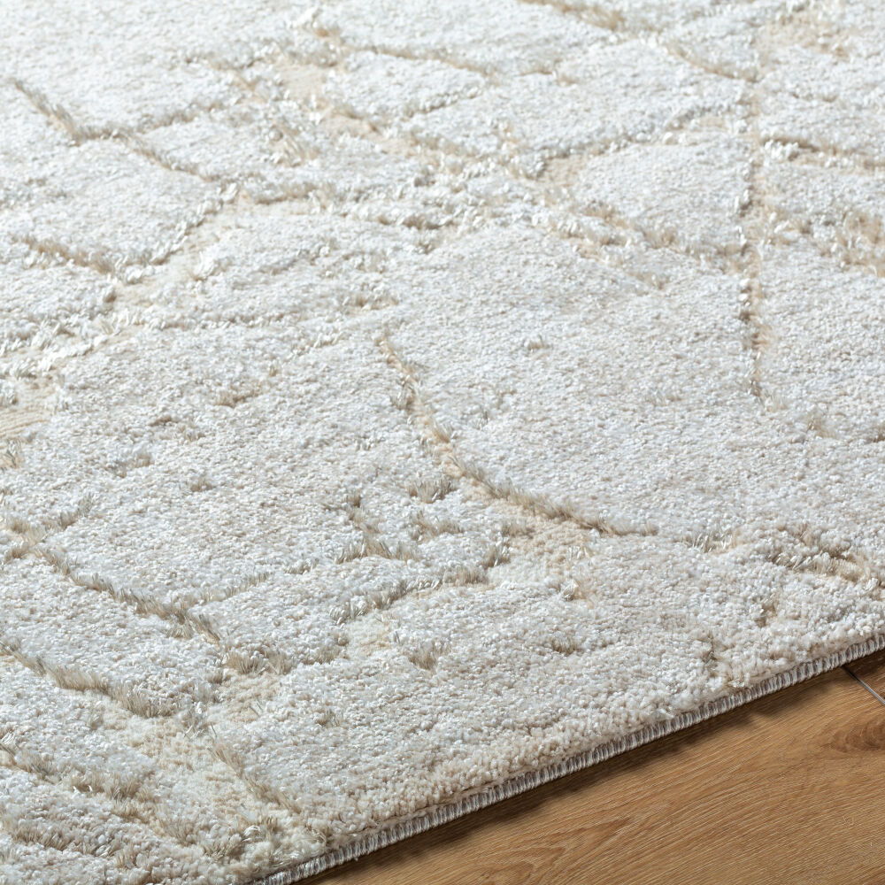 Andorra Plus Machine Woven Rug