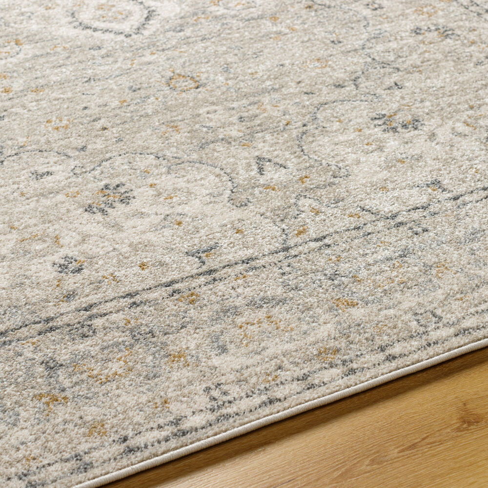 Alpharetta Machine Woven Rug