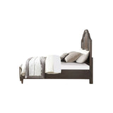 Peregrine - Queen Bed - Walnut