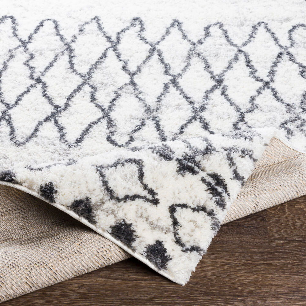 Aliyah Shag Machine Woven Rug