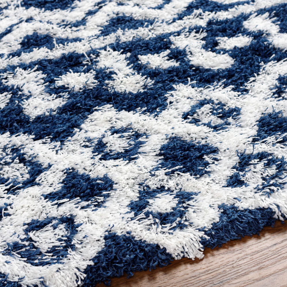 Urban Shag Machine Woven Rug