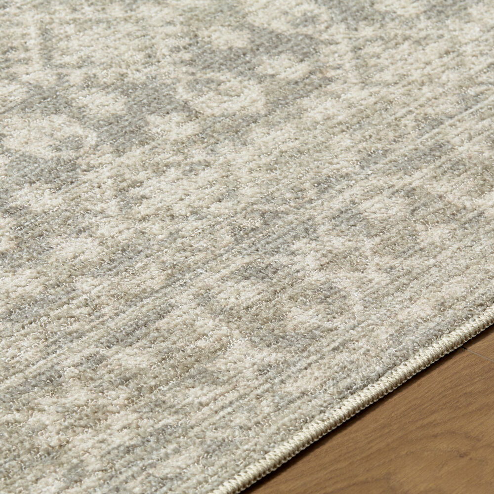 Aram Machine Woven Rug