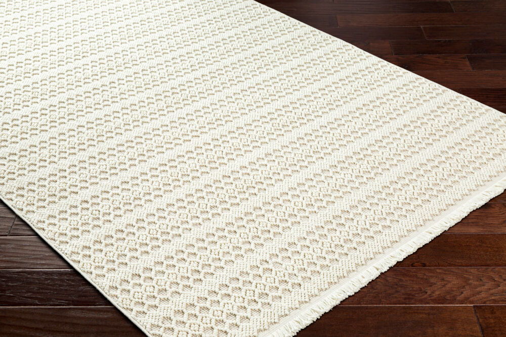 New Delhi Machine Woven Rug