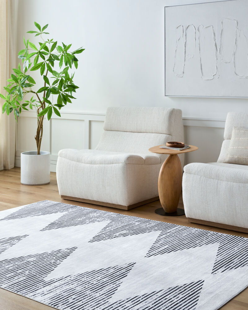 Lavable Machine Woven Rug