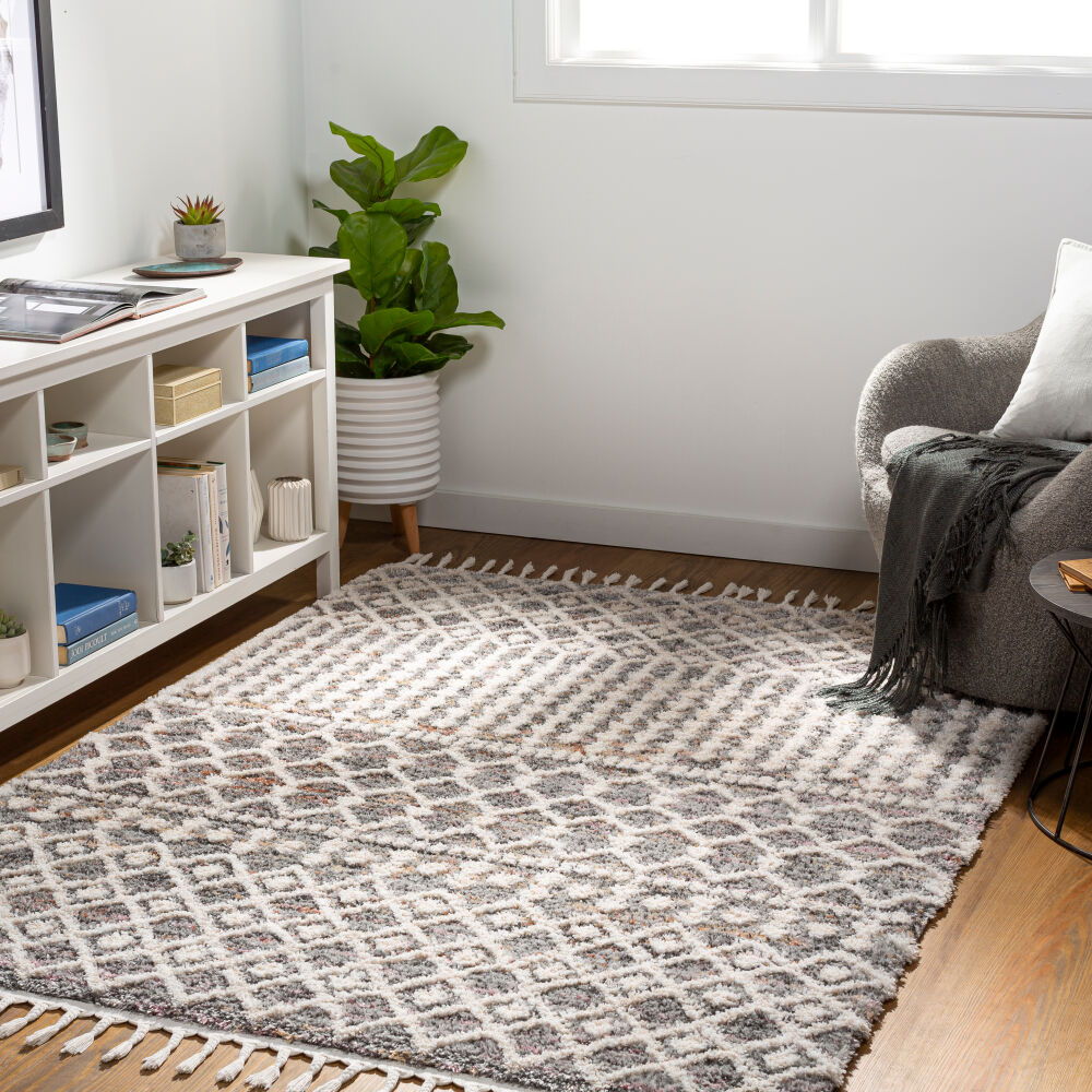 Lyon Machine Woven Rug