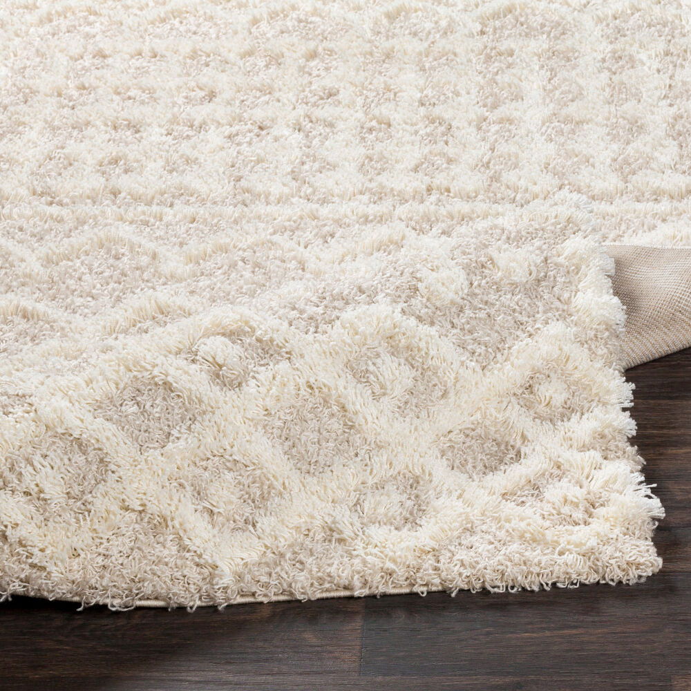 Urban Shag Machine Woven Rug
