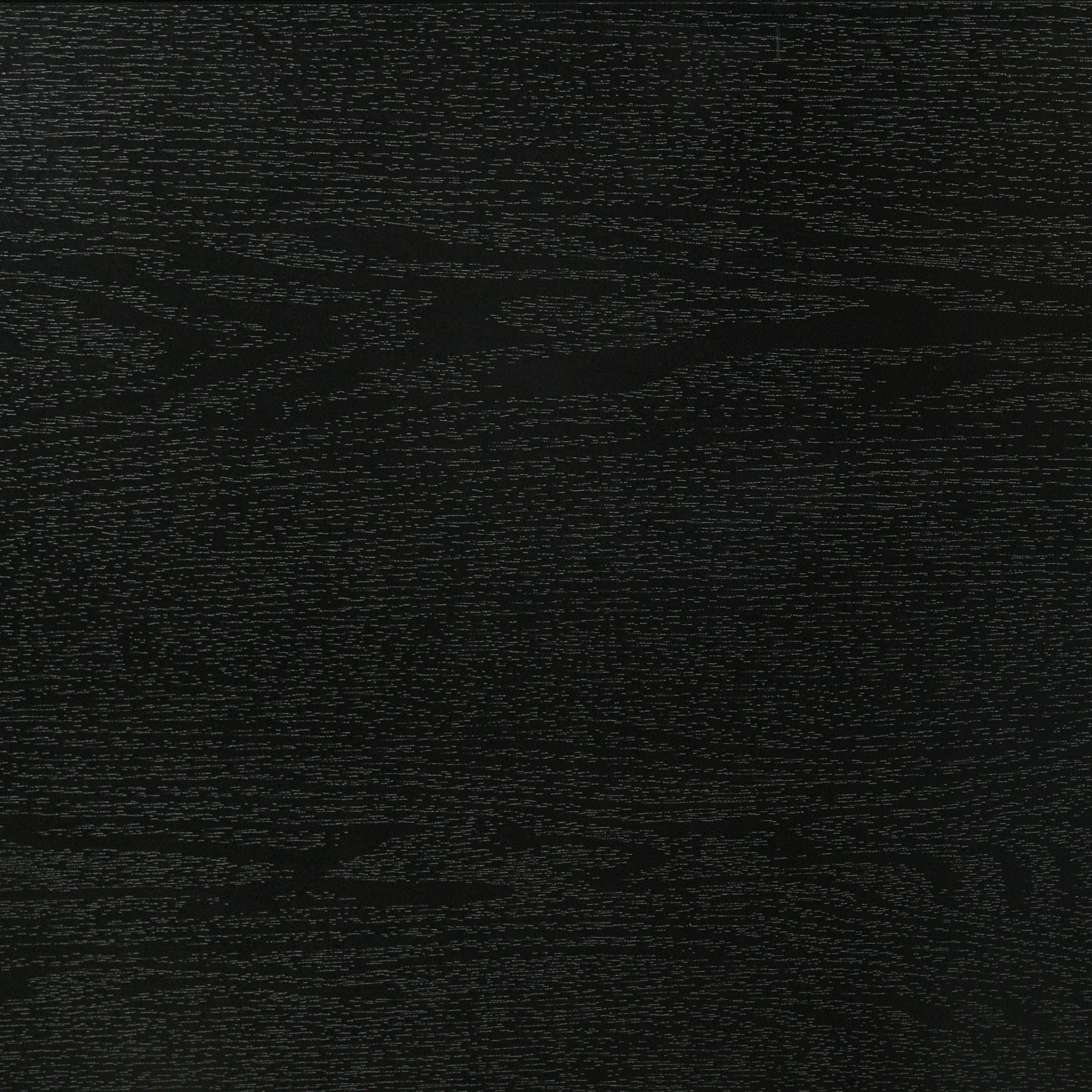 Miranda 51-inch Wood Twin Storage Panel Bed Black