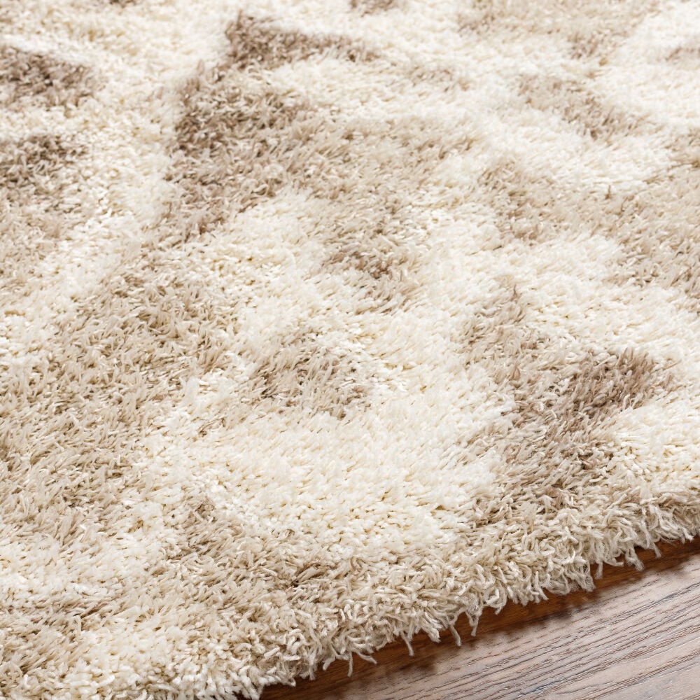Urban Shag Machine Woven Rug