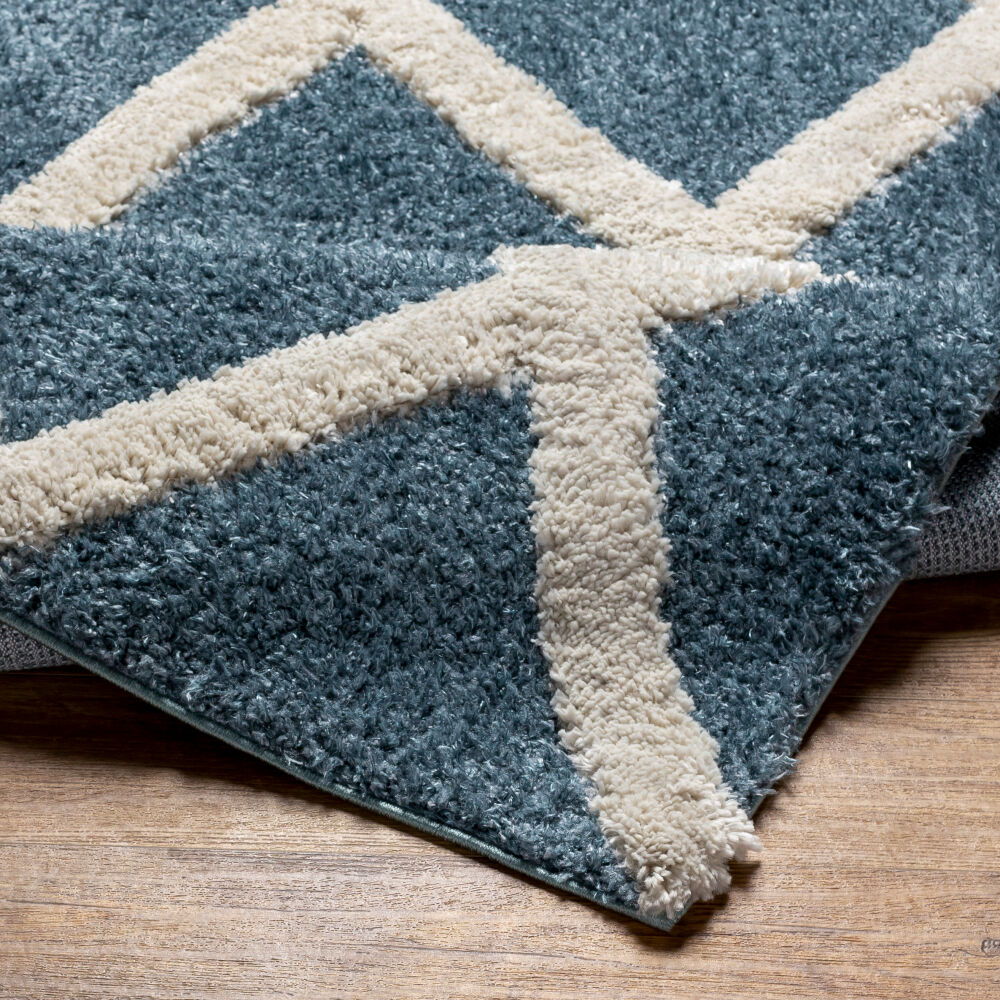 Hudson Shag Machine Woven Rug