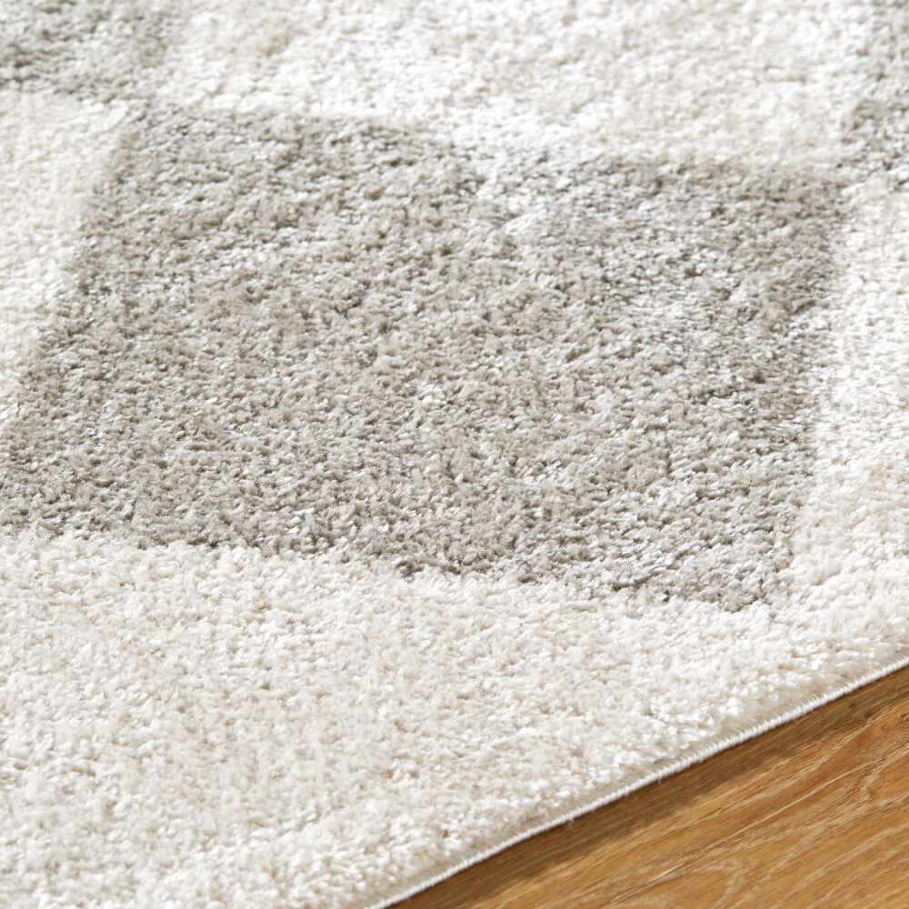 Fossay Shag Machine Woven Rug