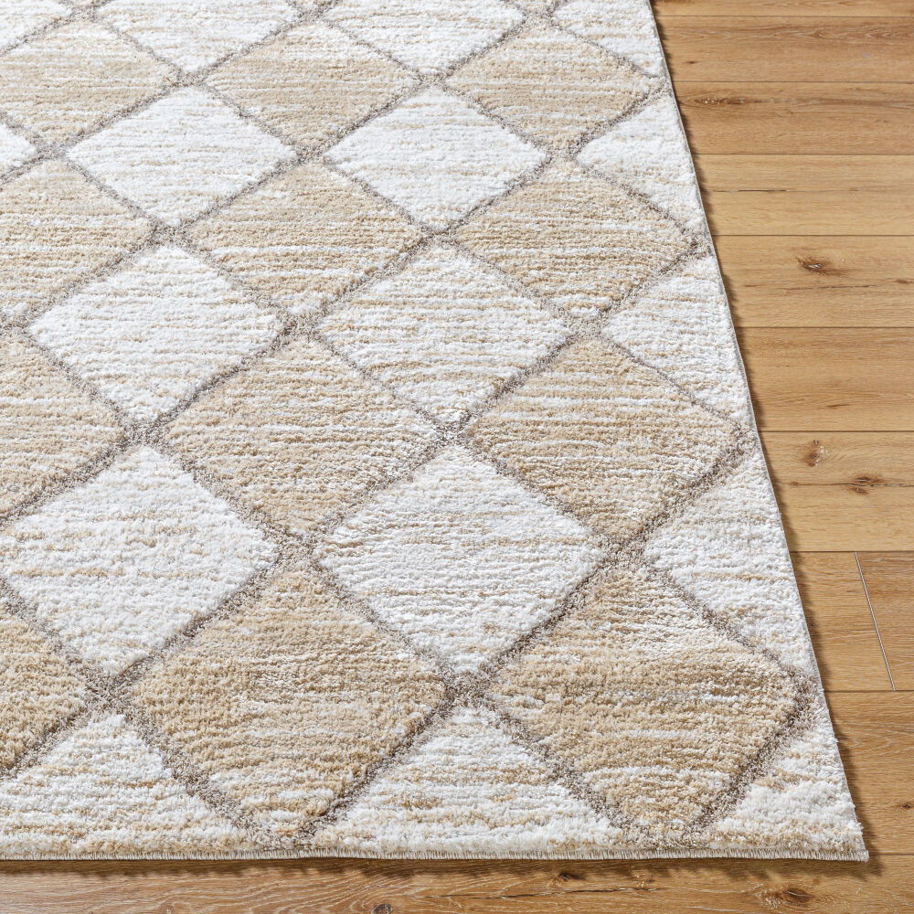 Delight Shag Machine Woven Rug