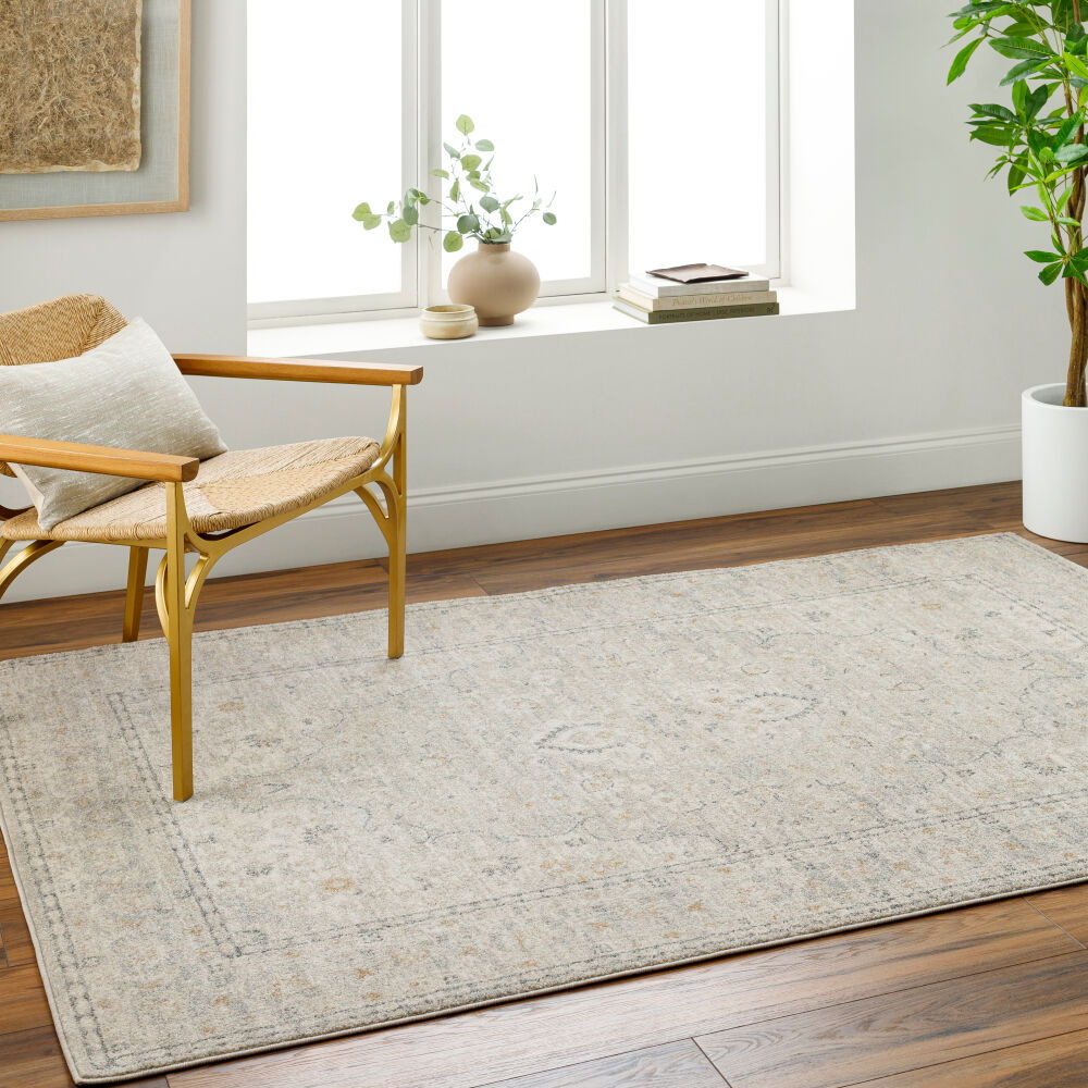 Alpharetta Machine Woven Rug