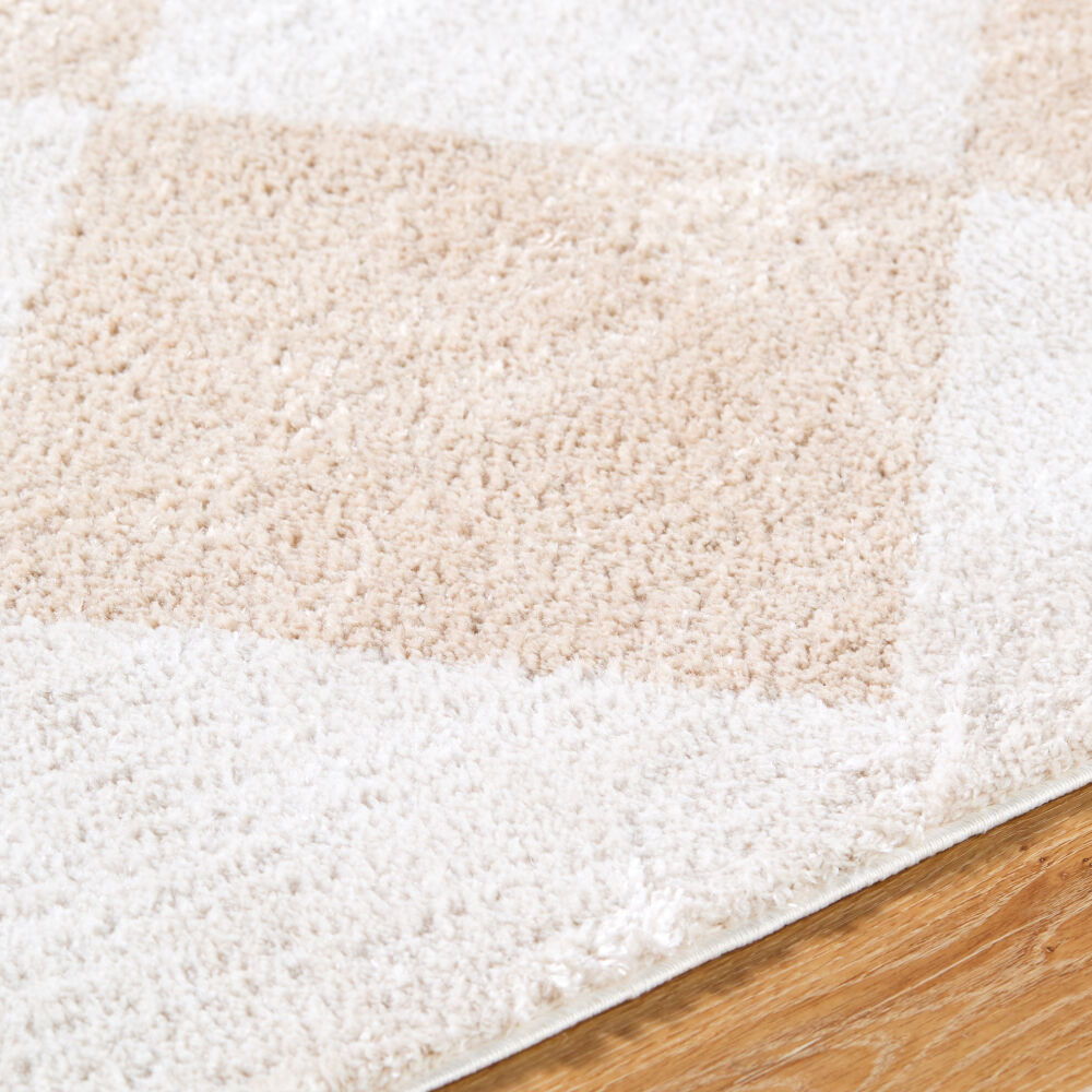 Fossay Shag Machine Woven Rug