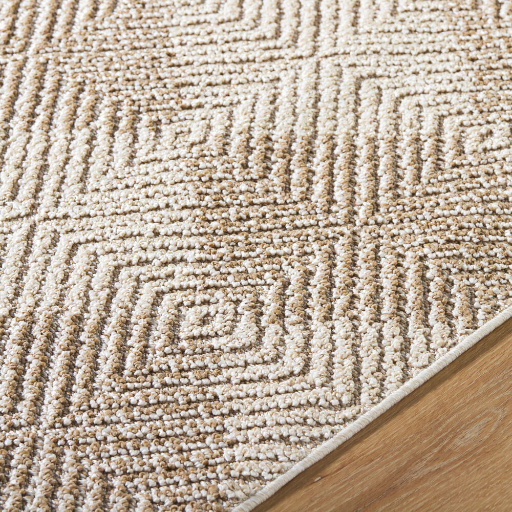 Kaya Machine Woven Rug