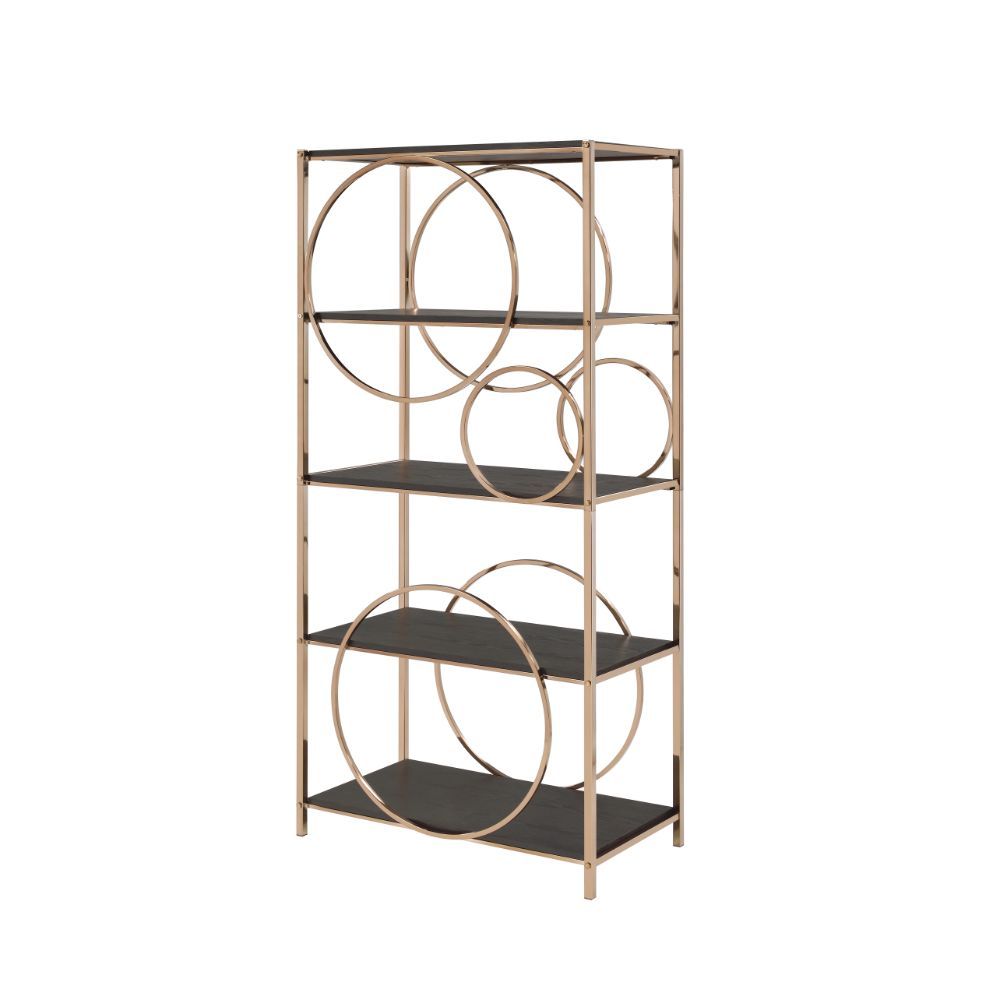 ACME Hudice - Bookshelf - Black Oak & Champagne | Meri Furniture