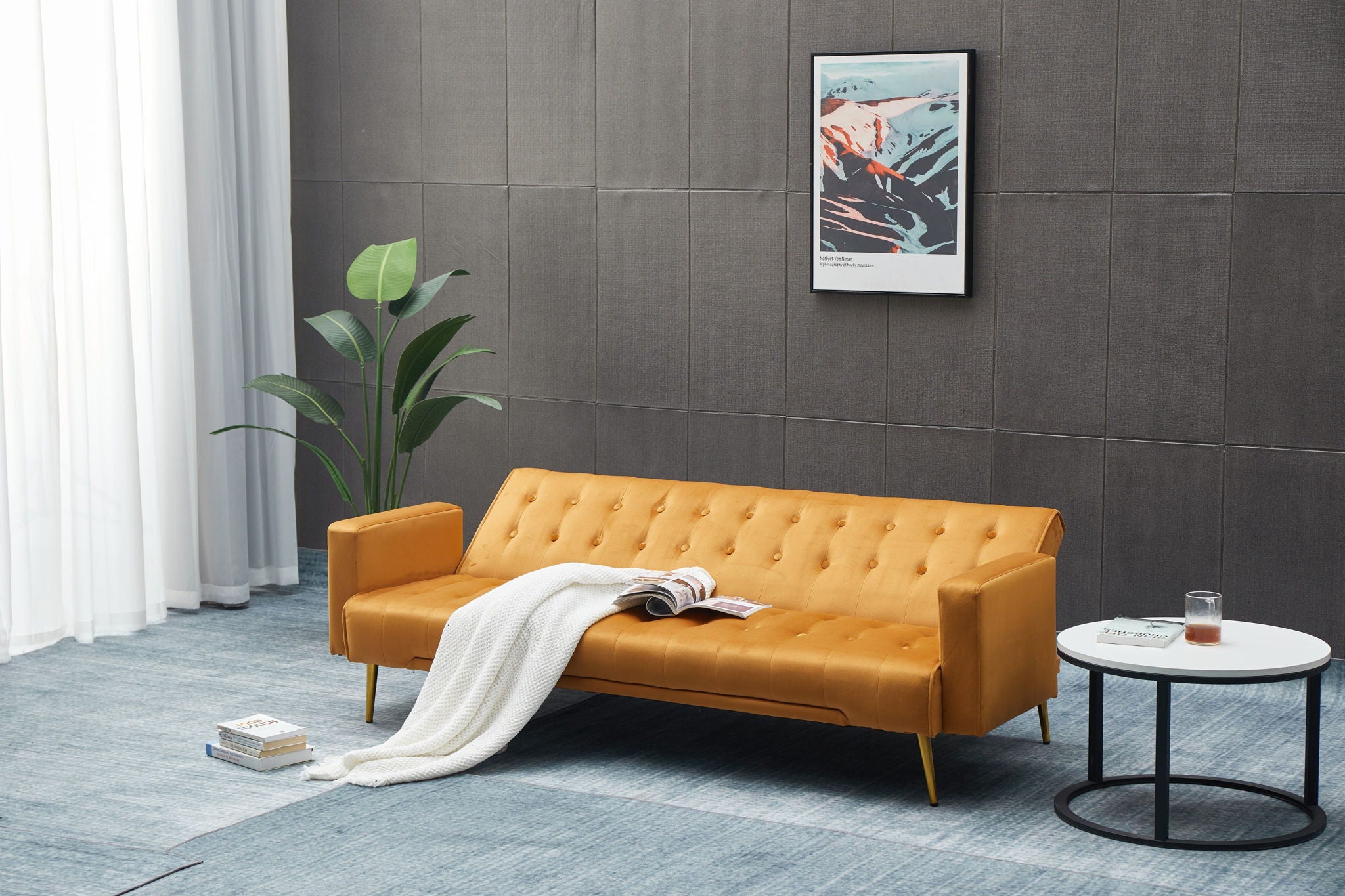 Comfort Compact Design Sofa Bed