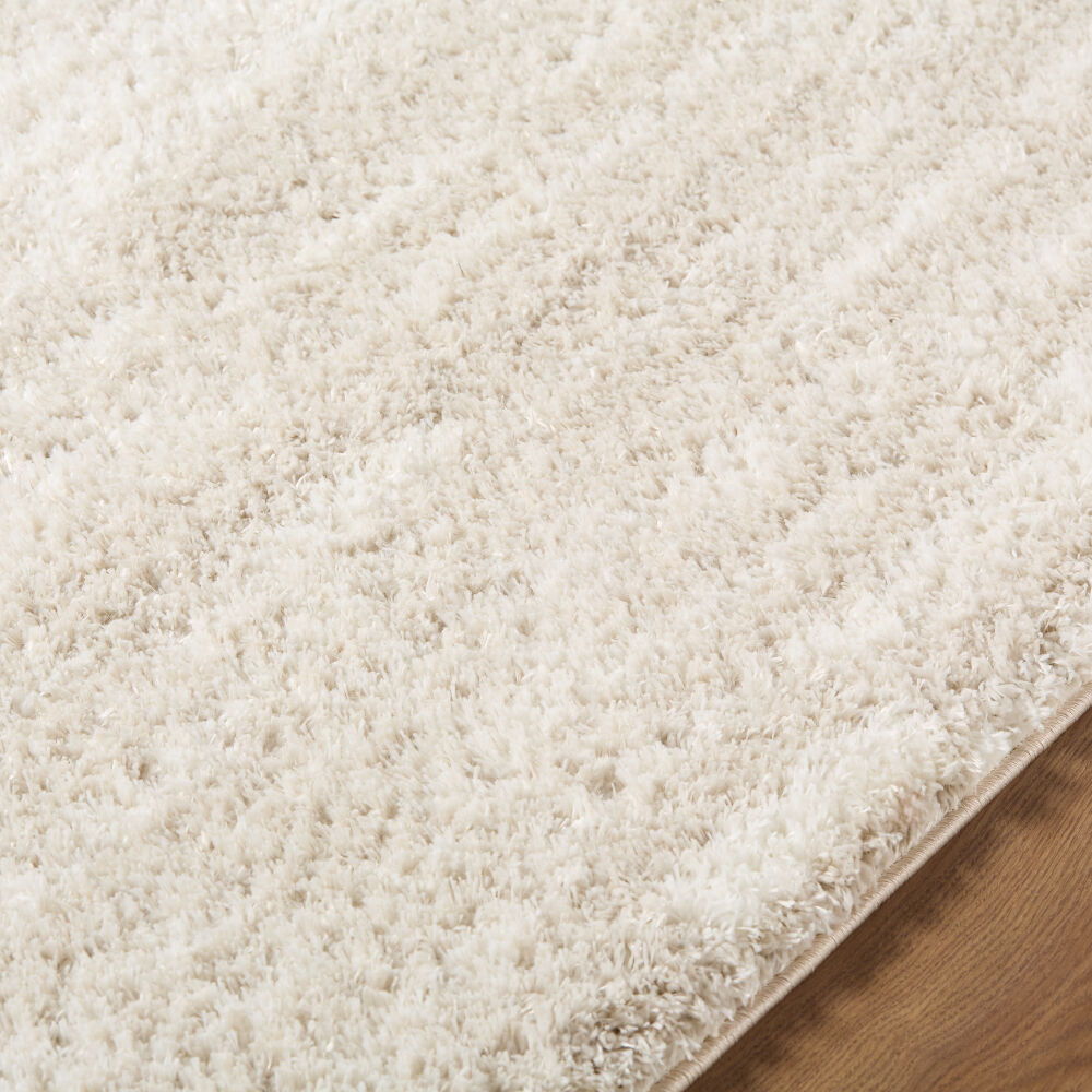 Cloudy Shag Machine Woven Rug