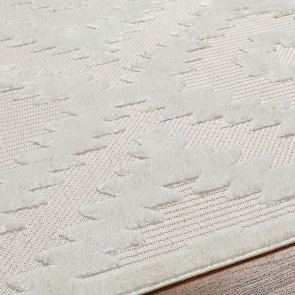 San Diego Machine Woven Rug