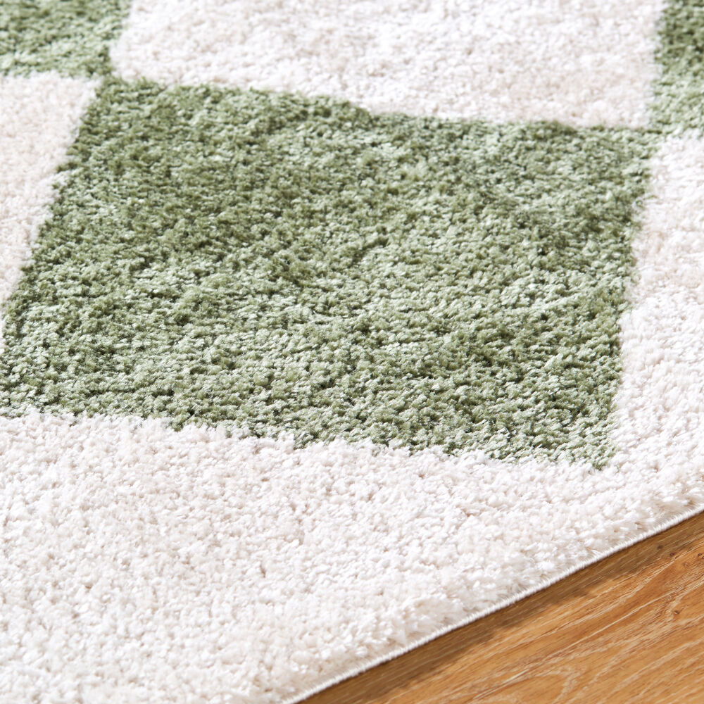 Fossay Shag Machine Woven Rug