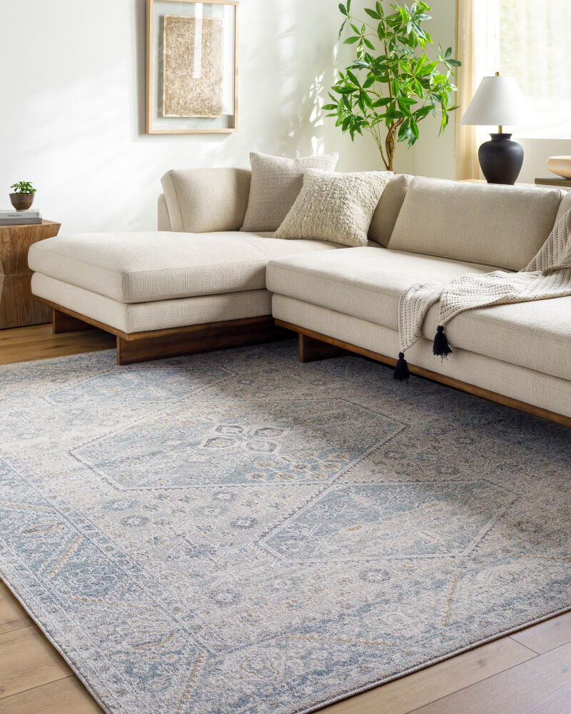 Alpharetta Machine Woven Rug