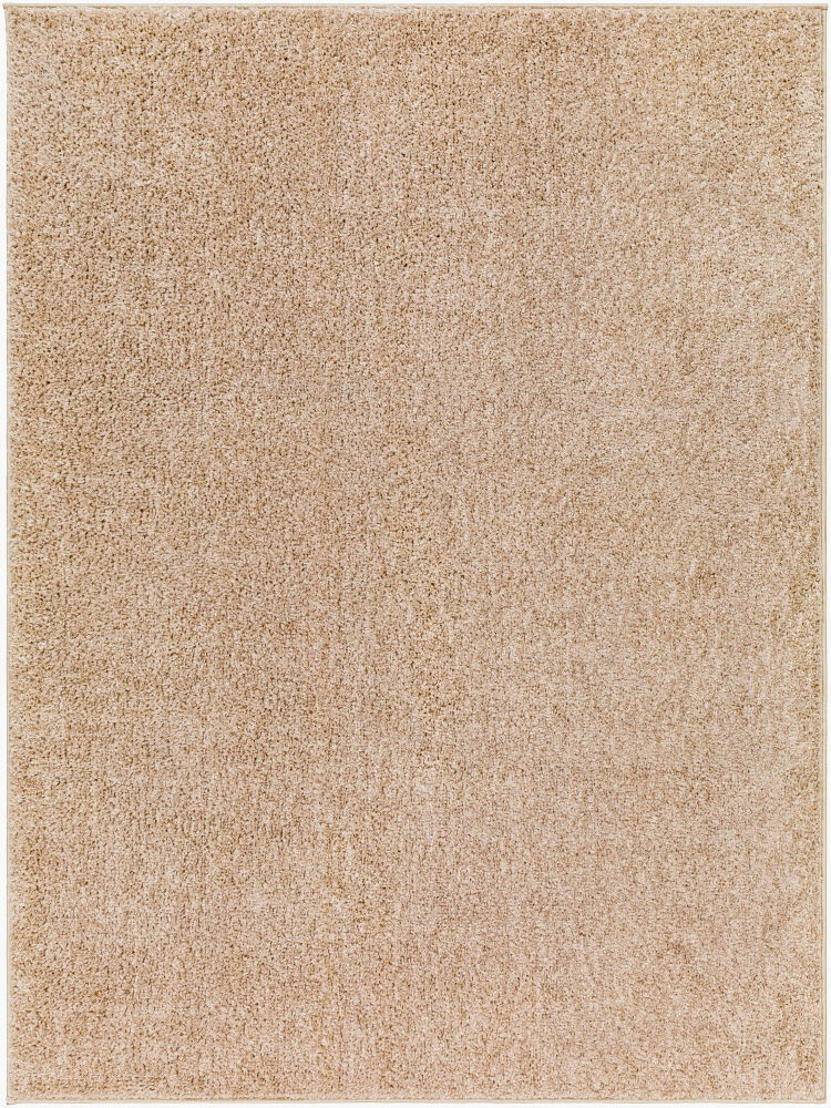 Alfombra Machine Woven Rug
