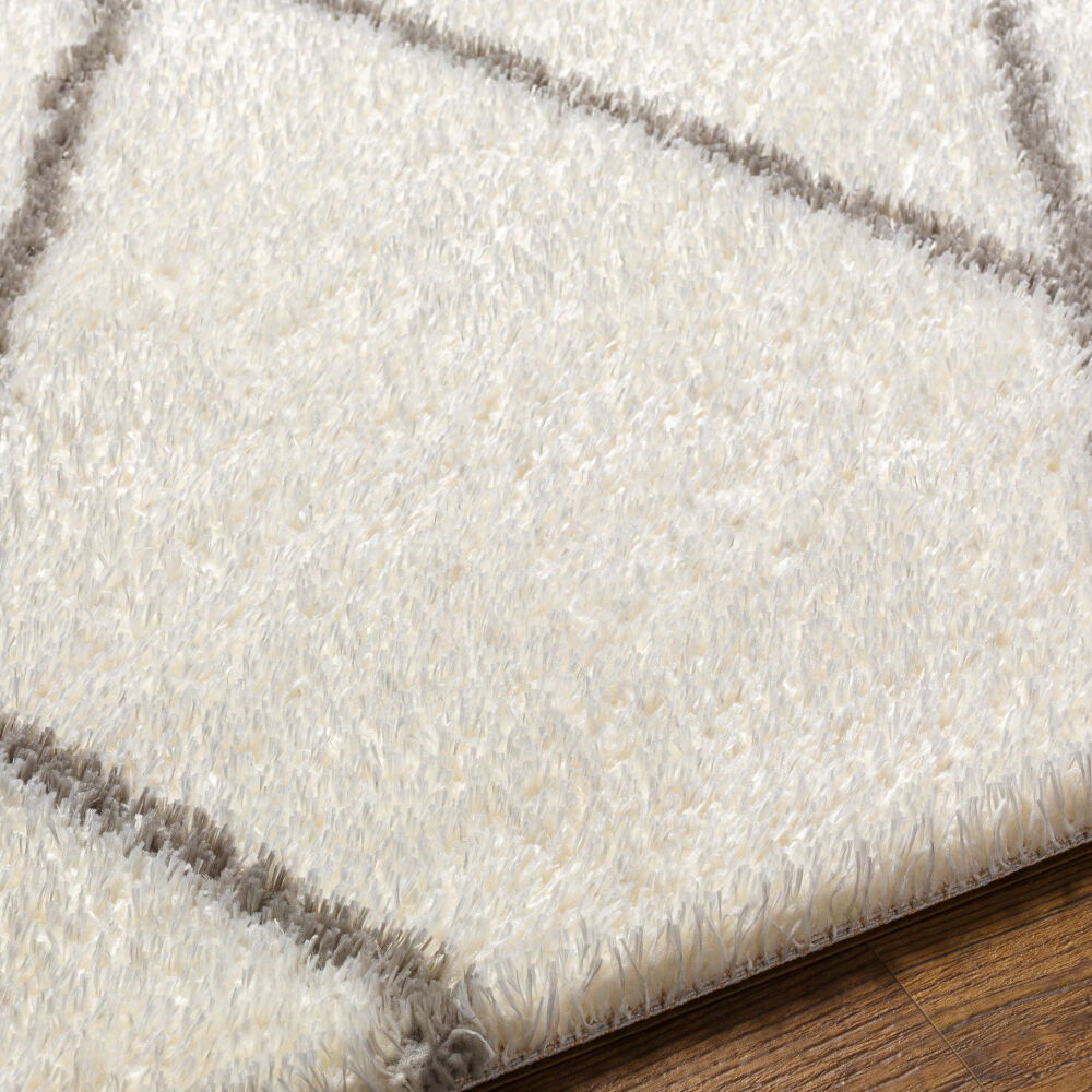 Cloudy Shag Machine Woven Rug