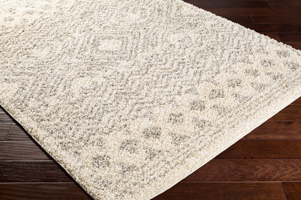 Taza Shag Machine Woven Rug