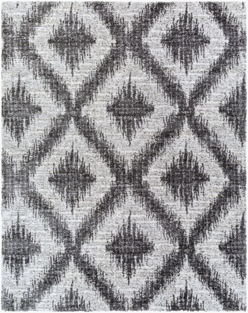 Aliyah Shag Machine Woven Rug