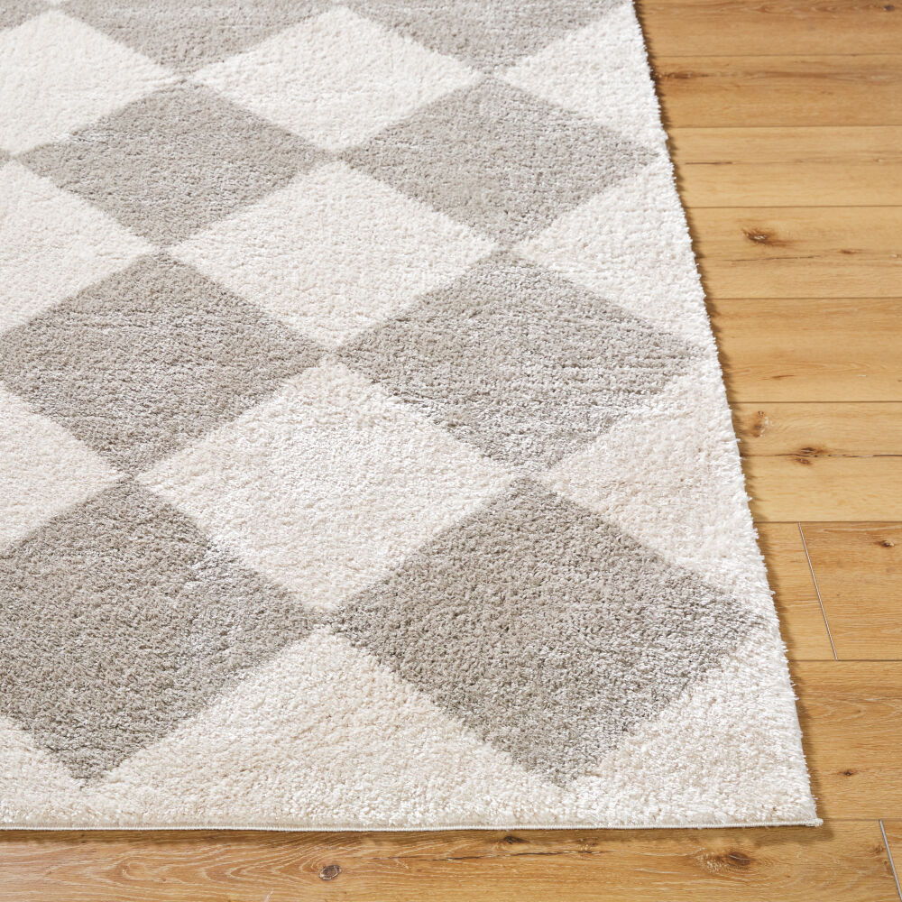 Fossay Shag Machine Woven Rug