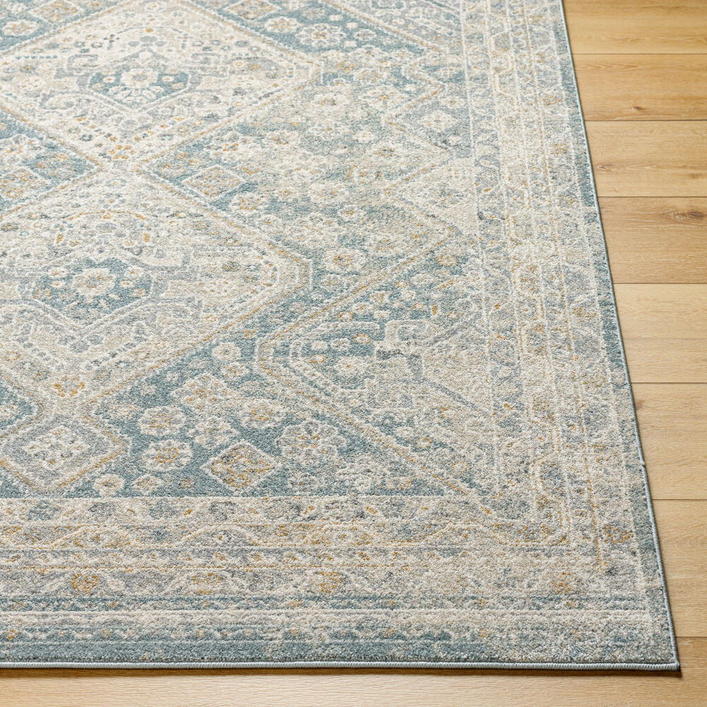 Alpharetta Machine Woven Rug