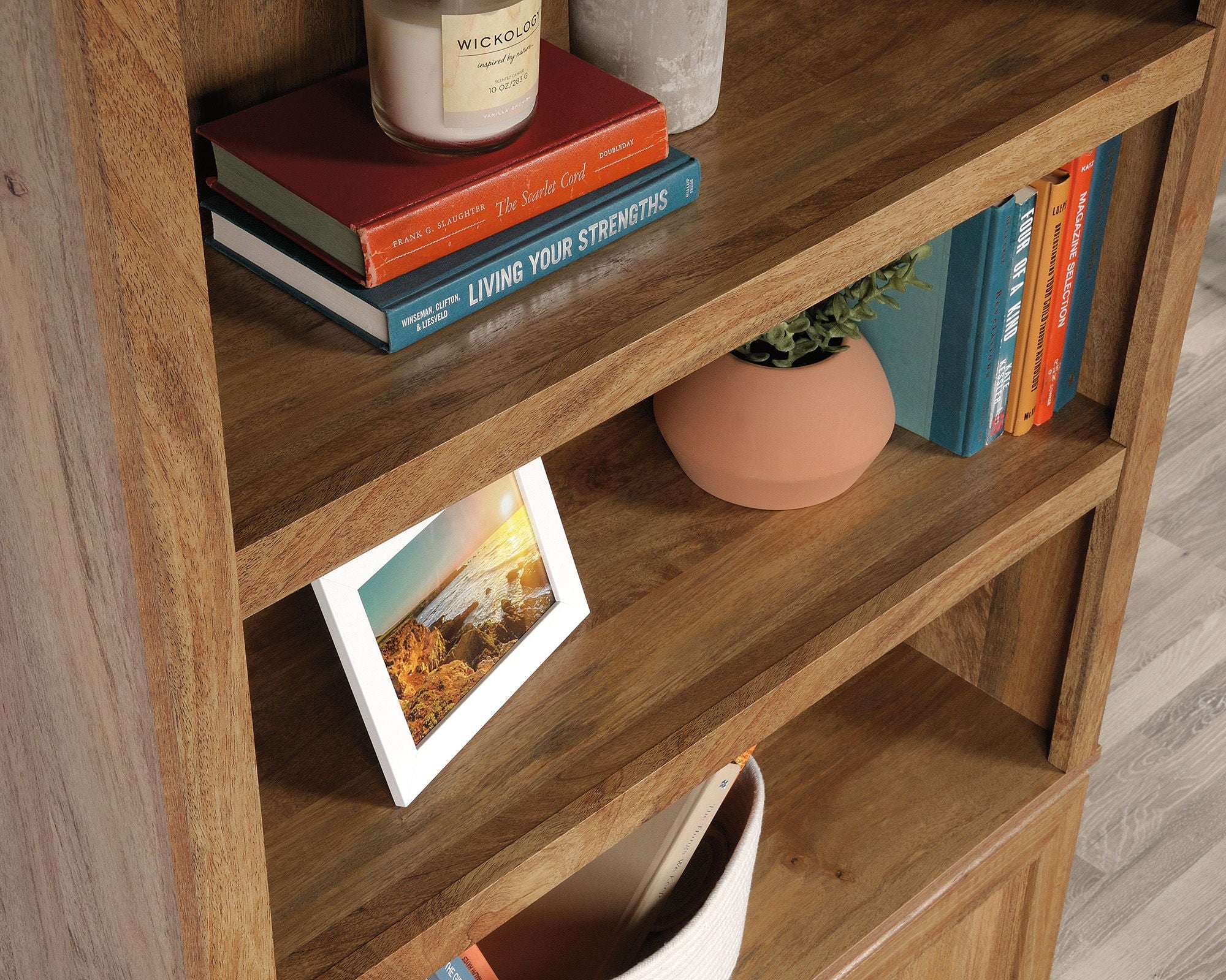 Transitional 3-Shelf 2-Door Bookcase