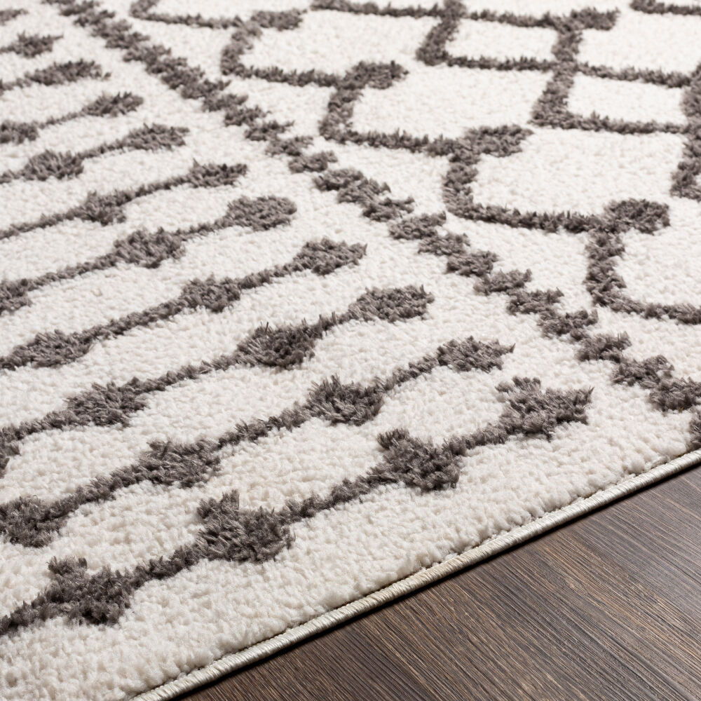 Alhambra Machine Woven Rug