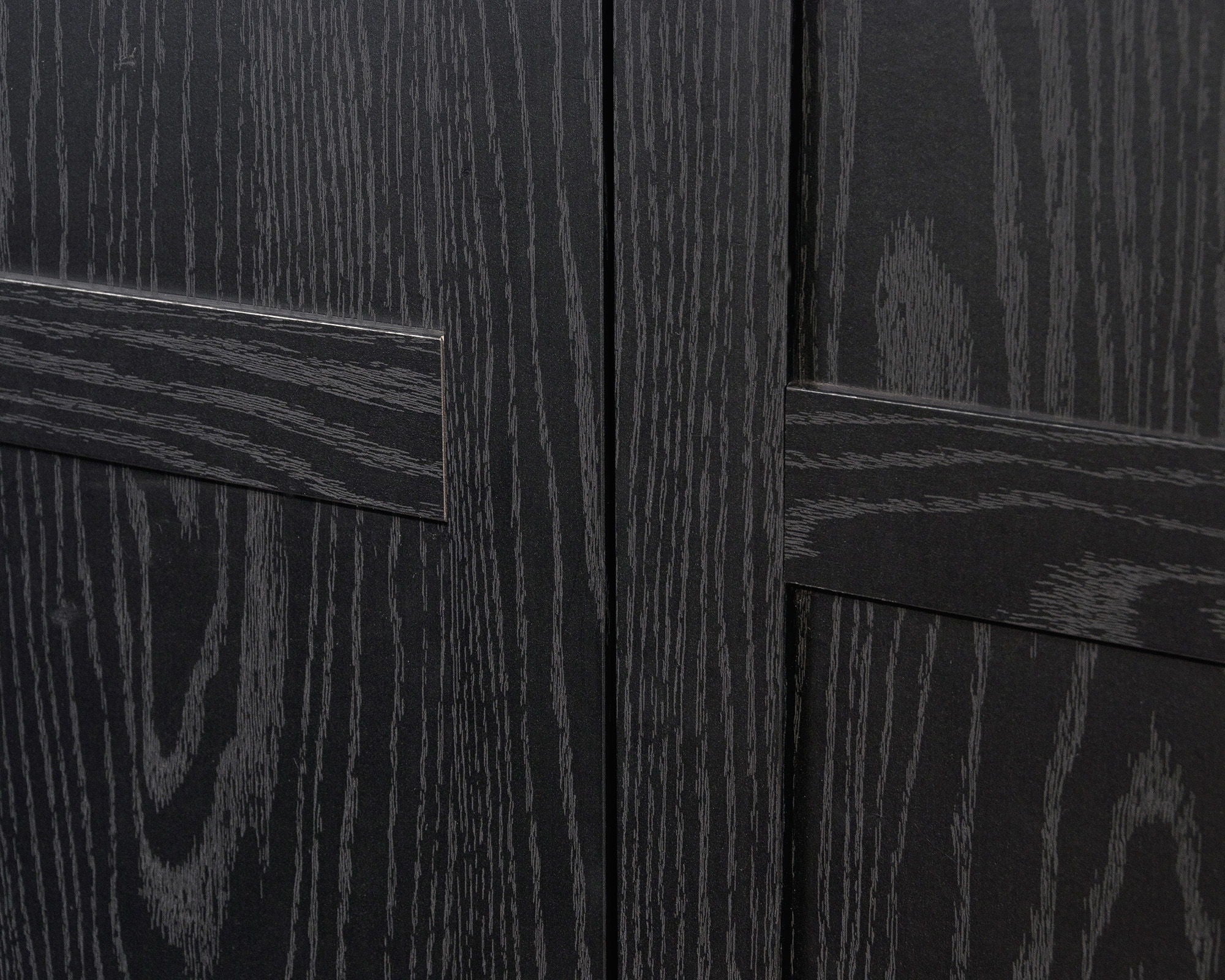 2-Door Storage Cabinet with Shelves in Black
