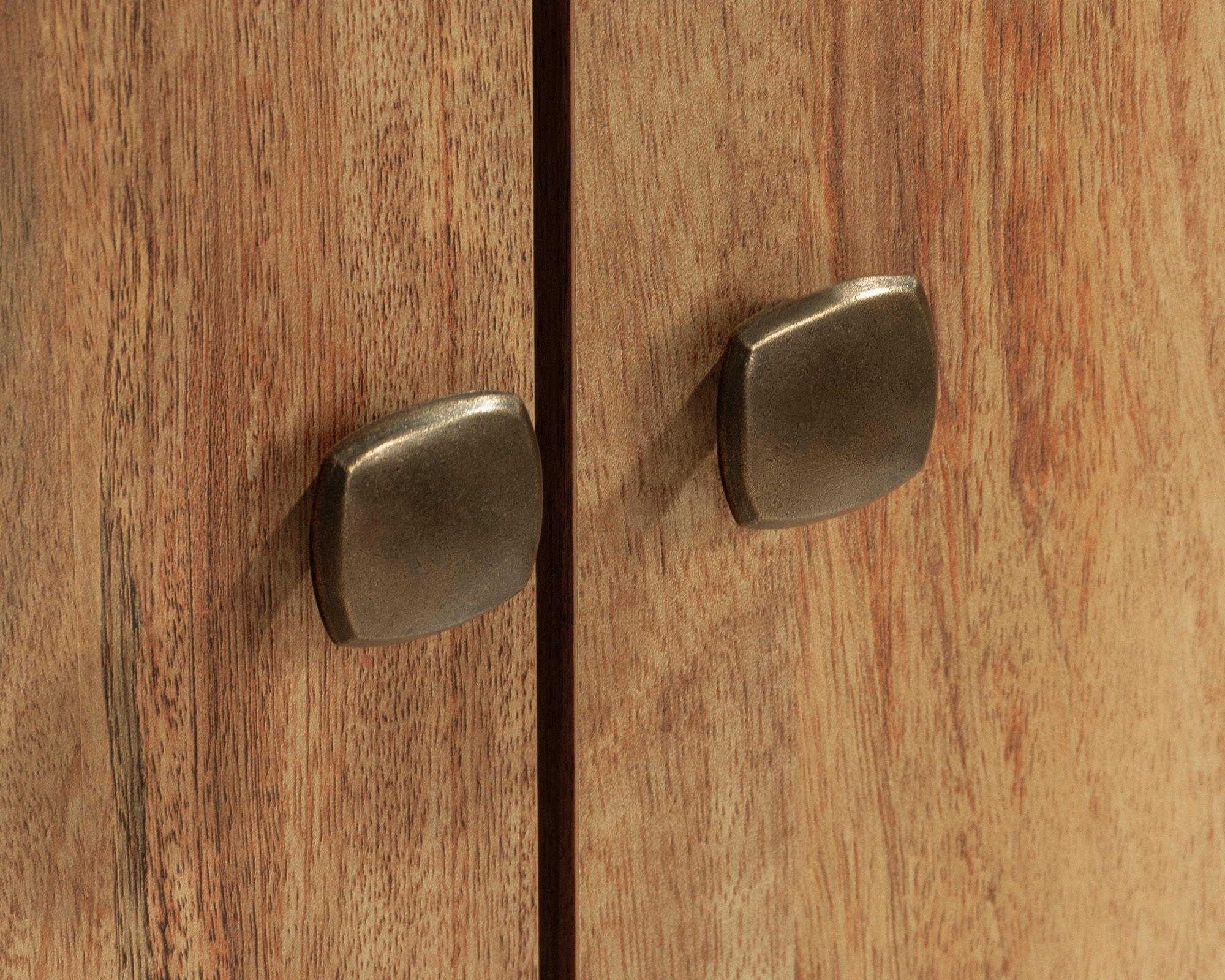 2-Door Storage Cabinet in Sindoori Mango