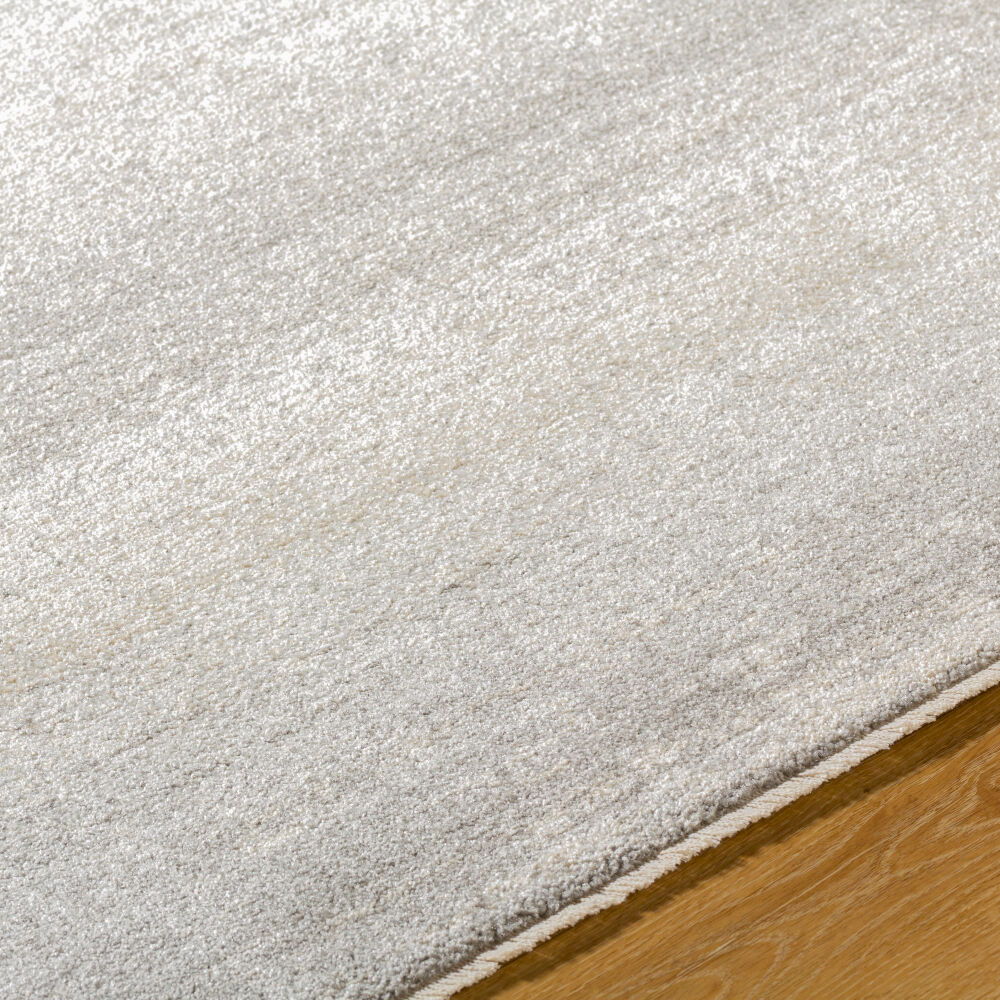 Rojin Machine Woven Rug