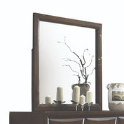 ACME Brenta - Mirror - Walnut | Meri Furniture