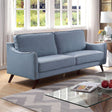 Furniture of America Maxime - Sofa - Light Blue | Meri Furniture