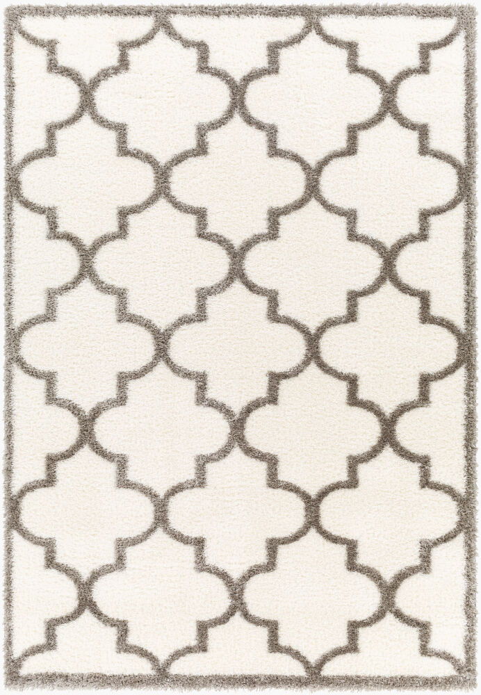 Cloudy Shag Machine Woven Rug