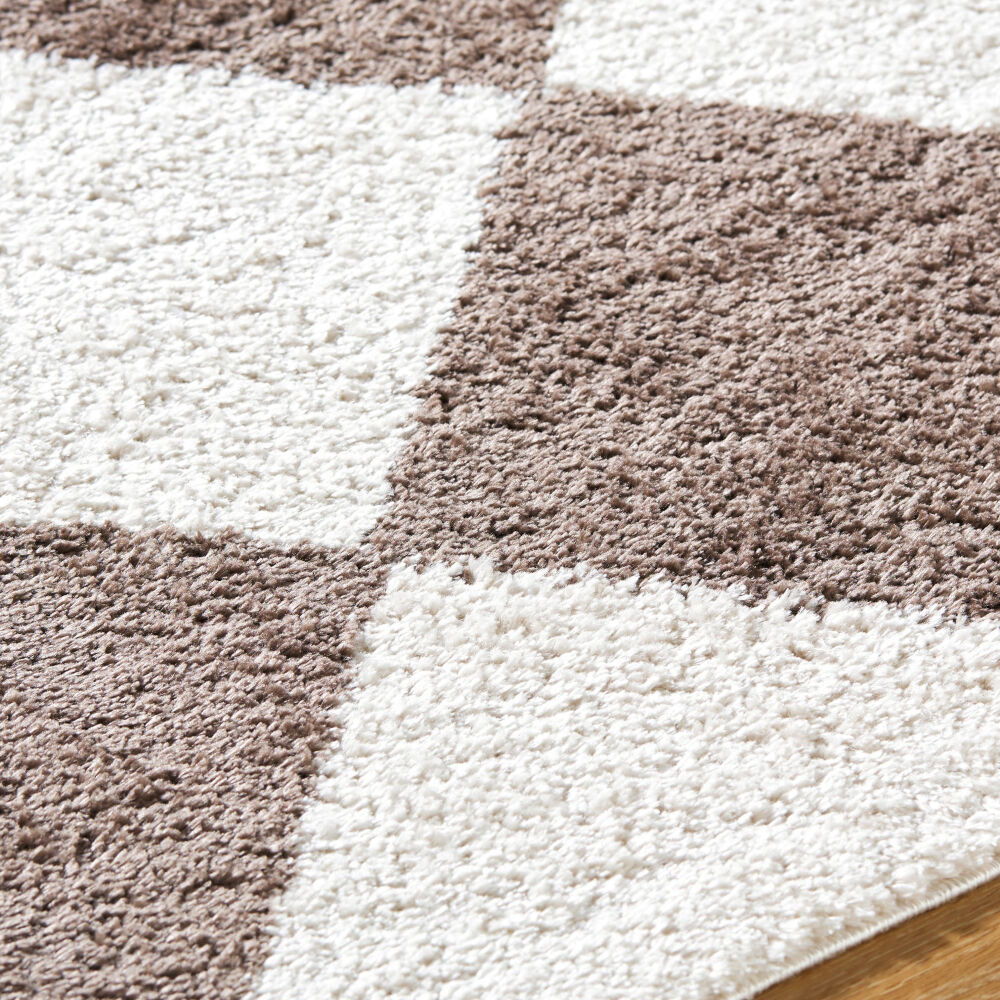 Fossay Shag Machine Woven Rug